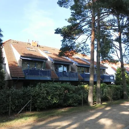 Papillon Whg 12 5