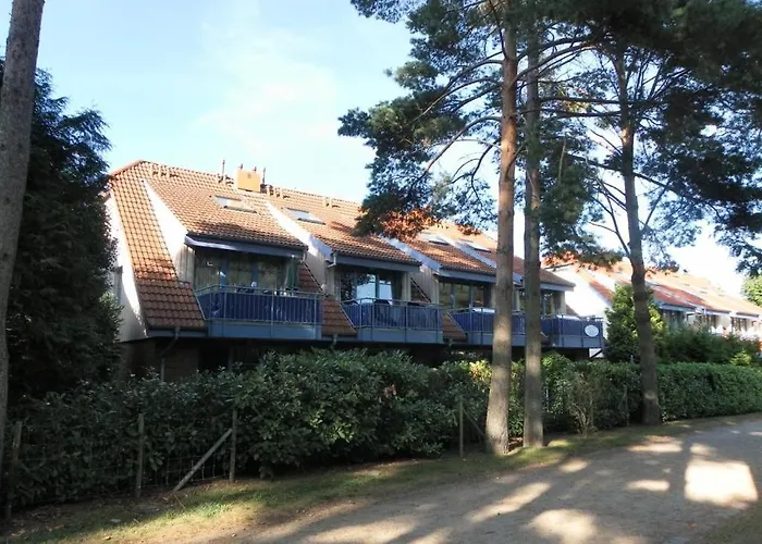 Papillon Whg 12 5
